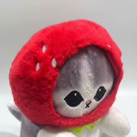 Peluche Gatito Kawaii Con Sombrero De Frutas