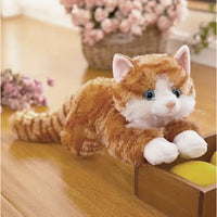 Gato Peluche Regalos De Cumpleaños Gatitos Kawaii