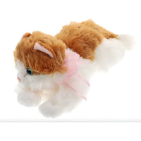 Gato Peluche Regalos De Cumpleaños Gatitos Kawaii