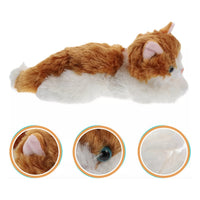 Gato Peluche Regalos De Cumpleaños Gatitos Kawaii